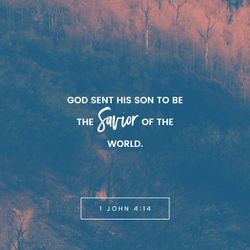 1 John 4:14