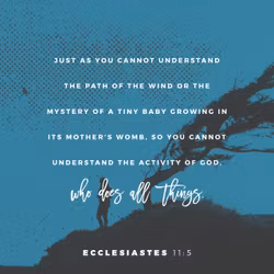 Ecclesiastes 11:5