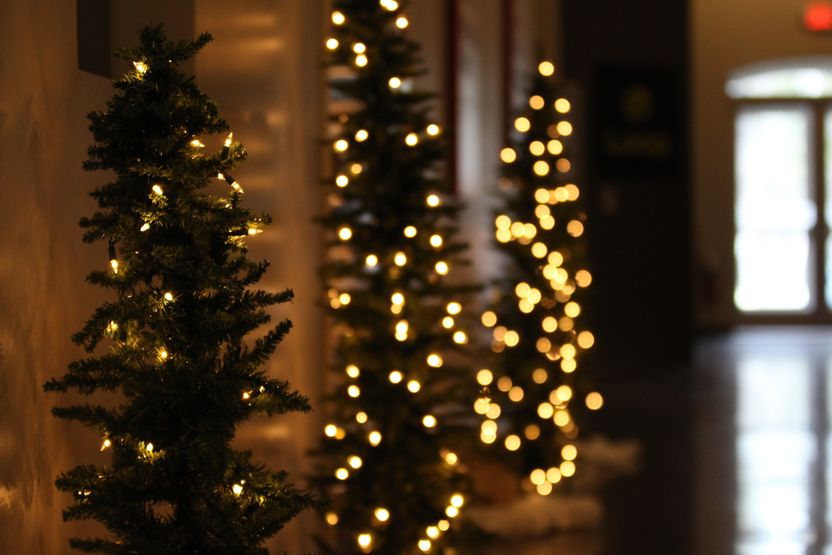 Christmas Tree 5