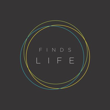 "Finds Life" Shirt Art