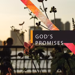 God's Promises