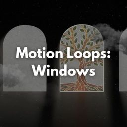 Motion Loops: Windows