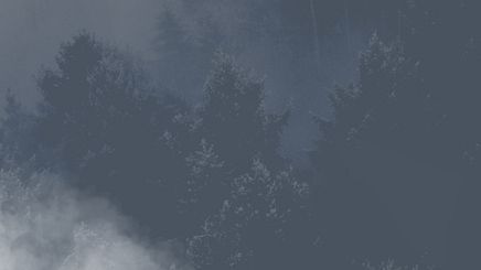 Blank 2