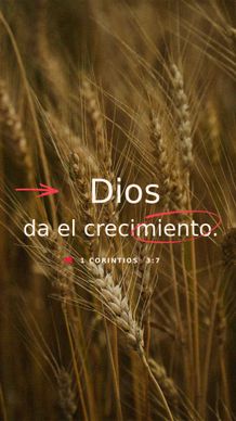 08 de mayo - Vertical