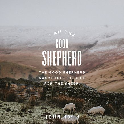John 10:11
