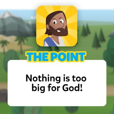 The Point