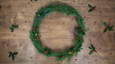 Photo - Christmas 4