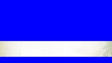 Blue Screen 2