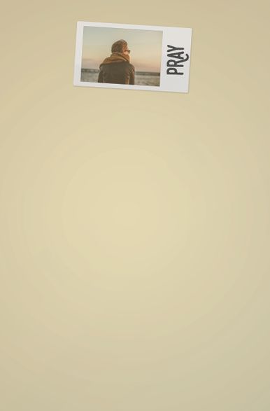 Mailer Back