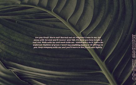 Desktop Wallpaper 5