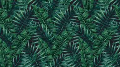 Texture - 01