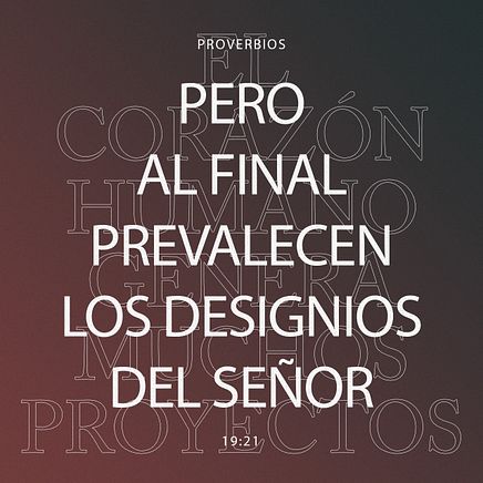 22 de enero - Plaza