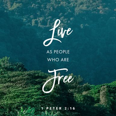 1 Peter 2:16
