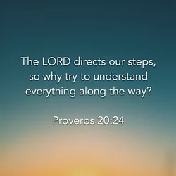Proverbs 20:24