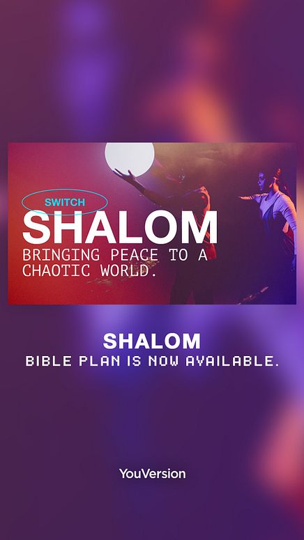 Bible Plan Stories