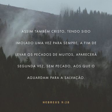 Hebrews 9:28