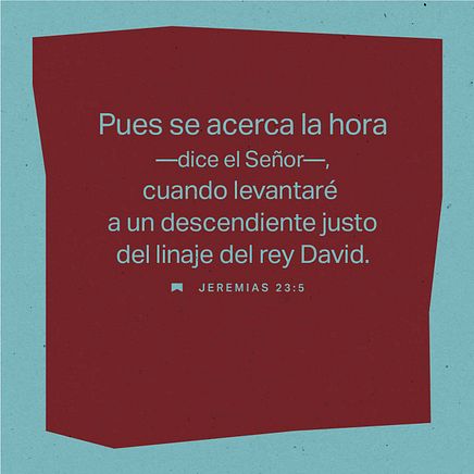 15 de diciembre - Plaza