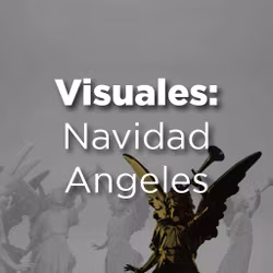 Visuales: Angeles