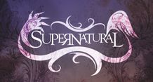 Banner 4