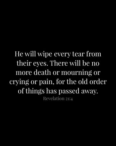Image 02