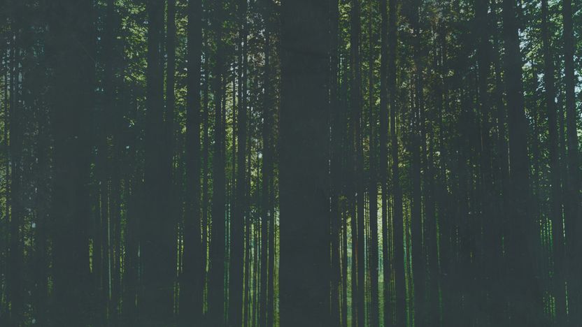 Artwork Trees 1