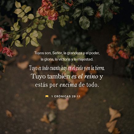 13 de enero - Plaza