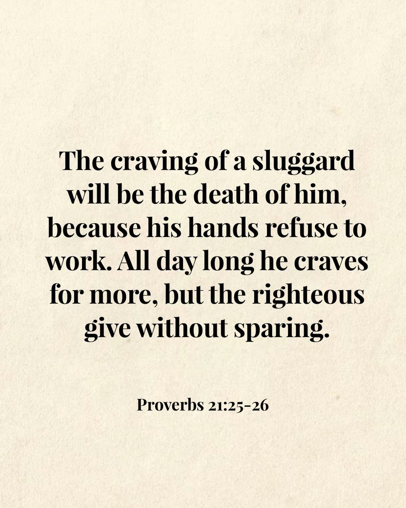 Image 08
