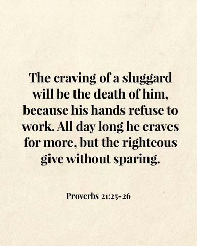 Image 08