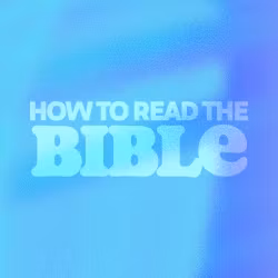 How To Read the Bible - Switch