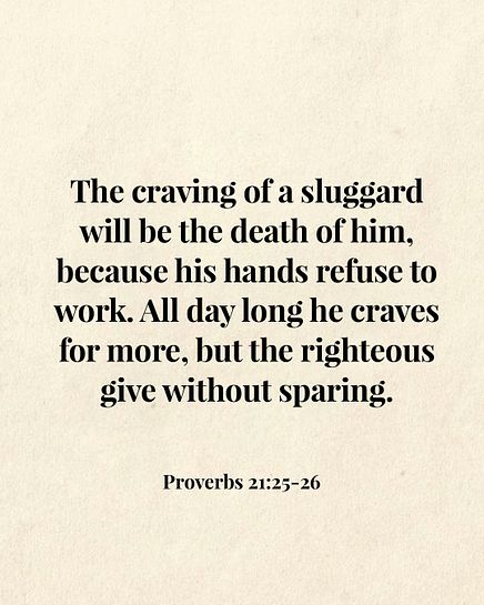 Image 08