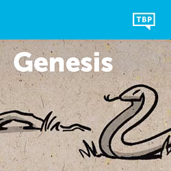 Read Scripture: Genesis