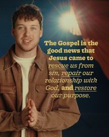 Feed Quote