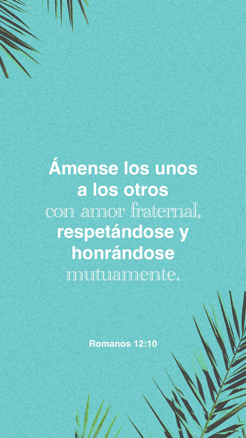 20 de enero - Vertical