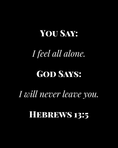 Image 08