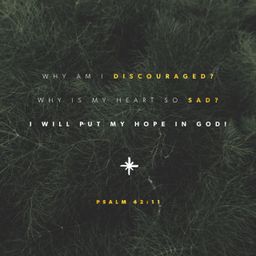 Psalm 42:11