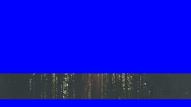 Blue Screen