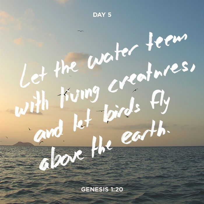 Creation Series Day 5