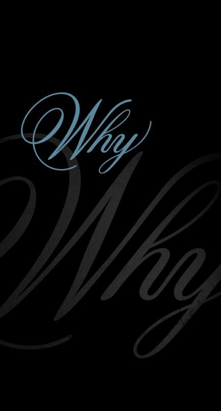 Banner 3