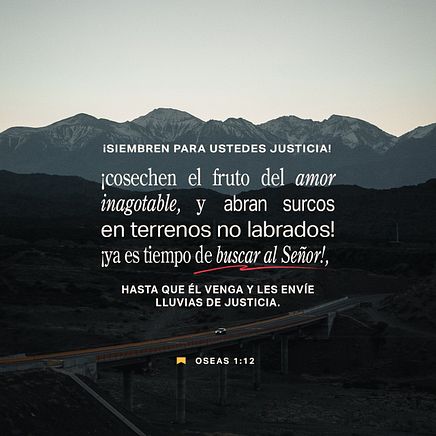 16 de enero - Plaza