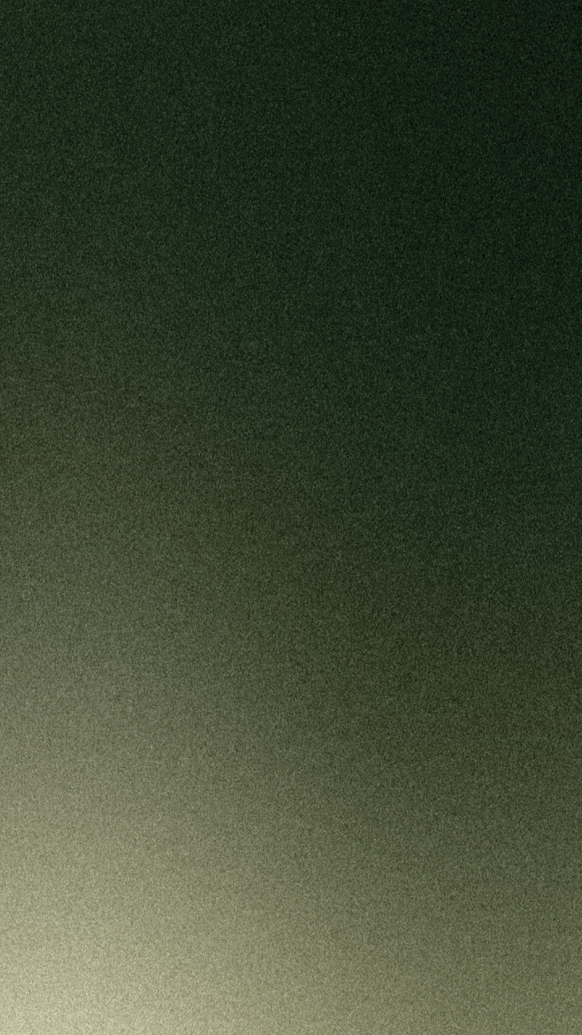 Vertical 3