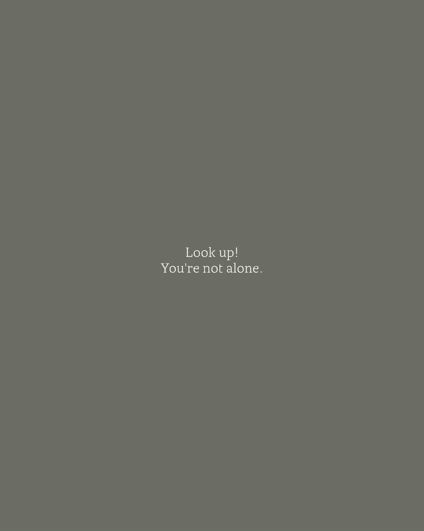 Instagram Feed Carousel 4
