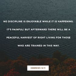 Hebrews 12:11