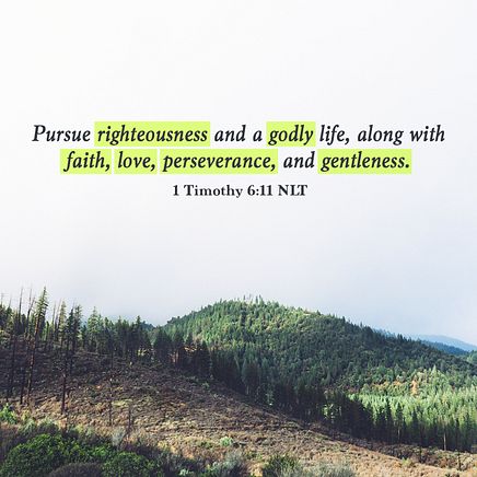 1 Timothy 6:11 NLT