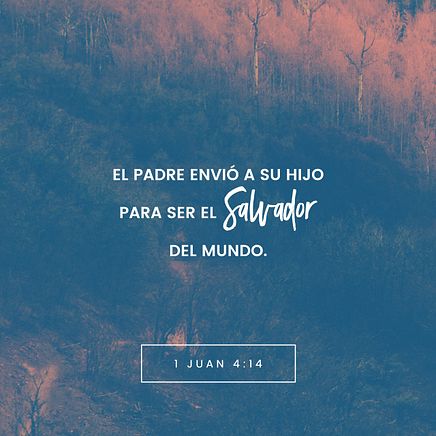 1 John 4:14