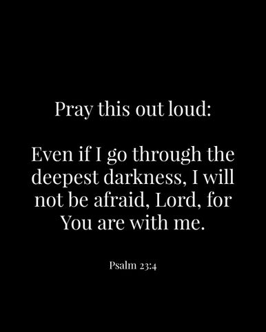 Image 05