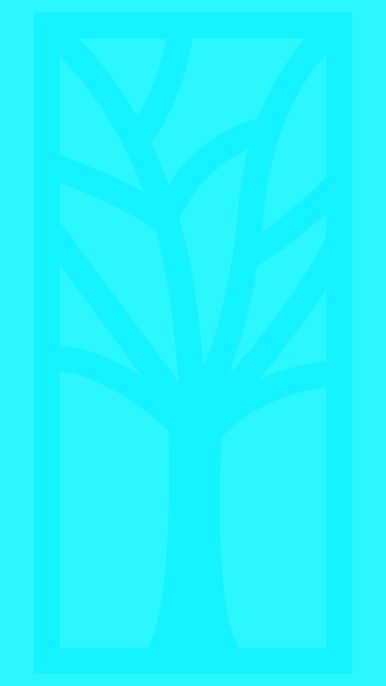 Story 5