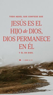 25 de enero - Vertical