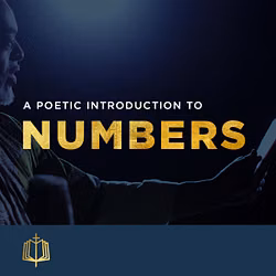 The Book of Numbers 