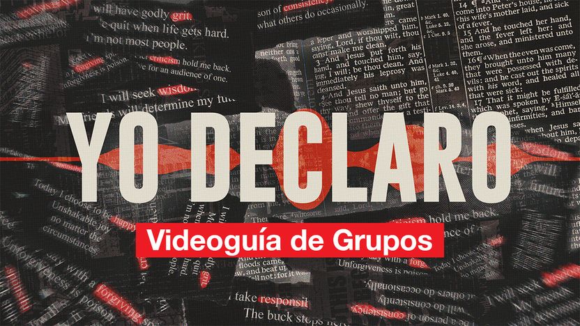 Videoguia De Grupos