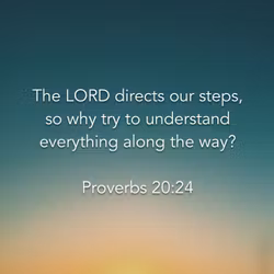 Proverbs 20:24